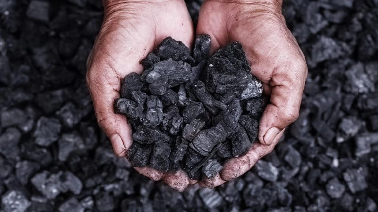 Küresel kömür talebi bu yıl zirve yapacak