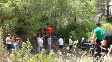 Manavgat'taki yangını için seferber oldular