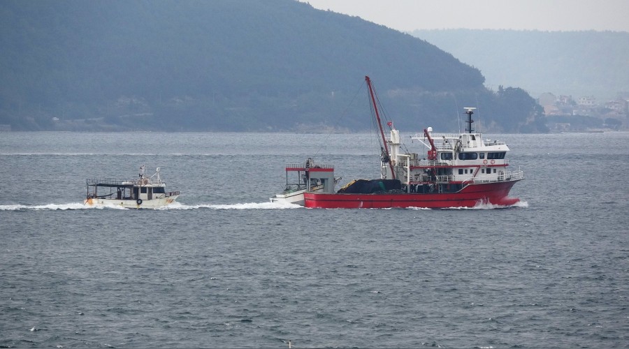 Marmara Denizi ölüyor