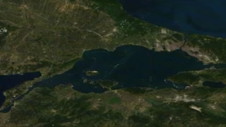 Marmara Denizi'nde Balon Balığı tehlikesi