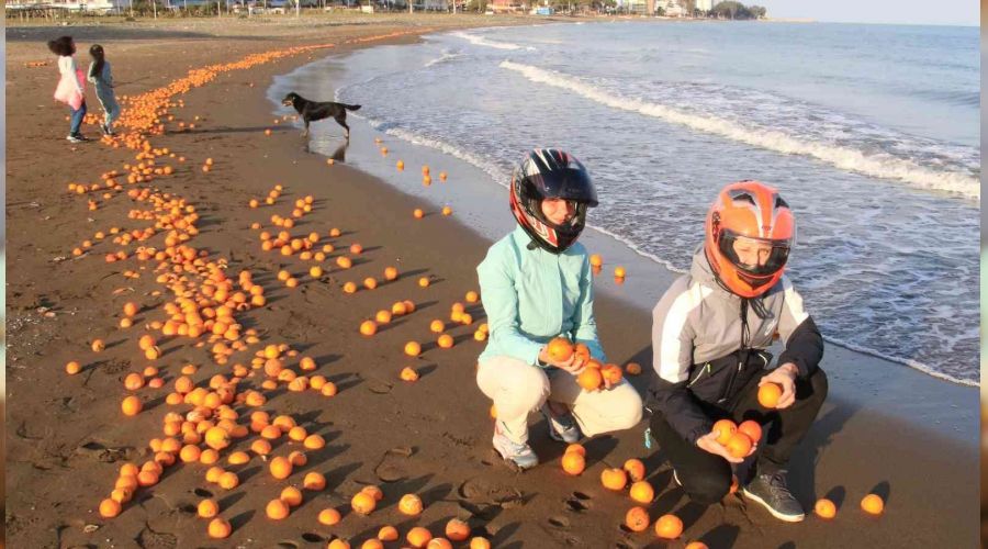Mersin'de sahil portakal doldu