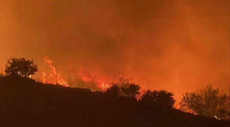 Mersin'deki orman yangını karayoluna ulaştı