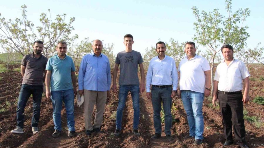Okumak i�in geldi�i Siirt'te �retici olmay� hedefliyor