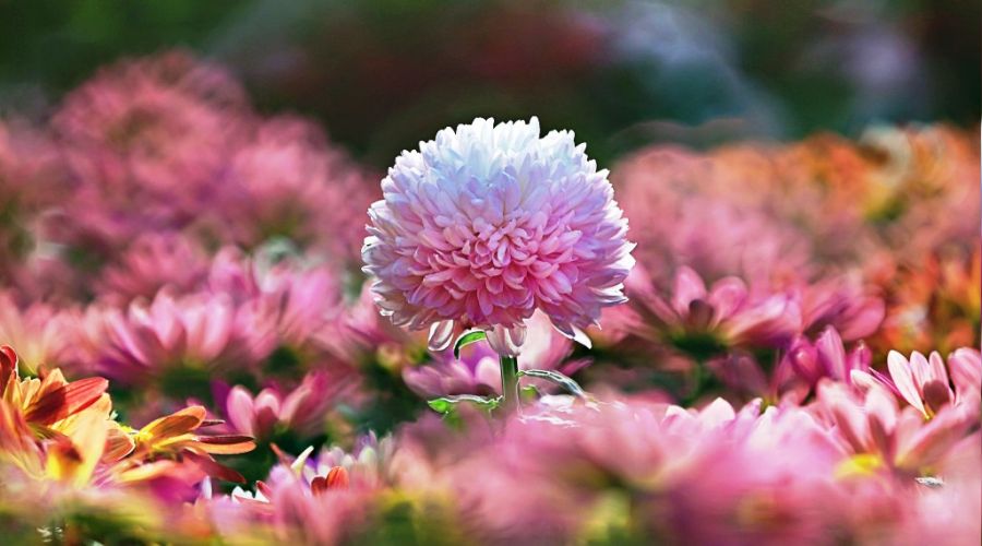 �Onlar duyarlar ama konu�amazlar�