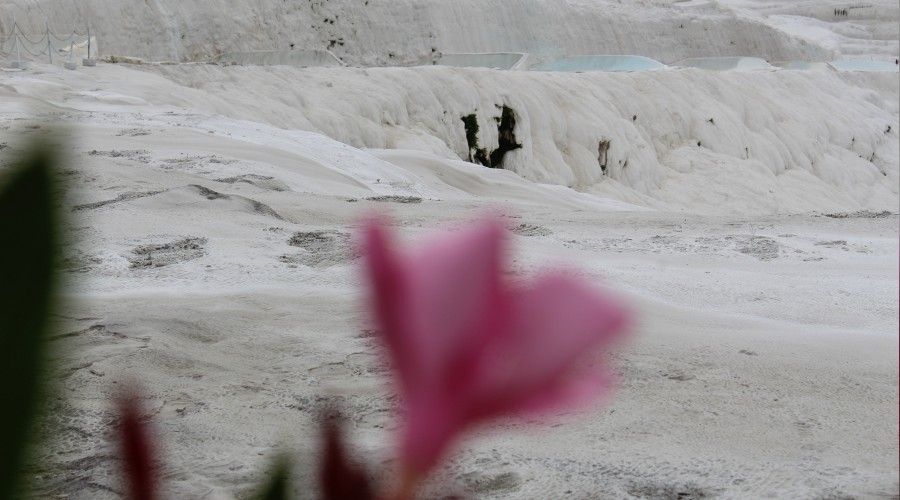 Pamukkale aylar sonra kap�lar�n� a�t�