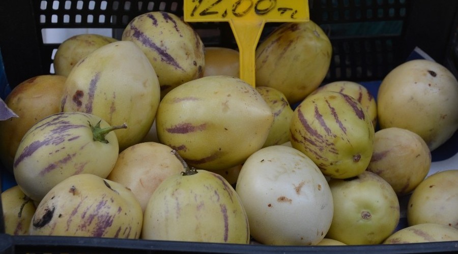 Pepino �retimi ba�lad�