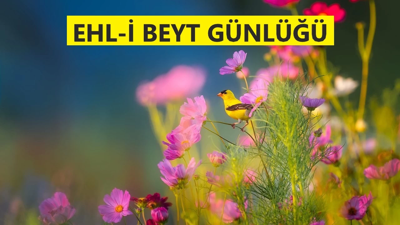 Peygamberin, sırtını dayadığı iman abideleri
