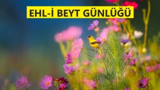 Peygamberin, sırtını dayadığı iman abideleri