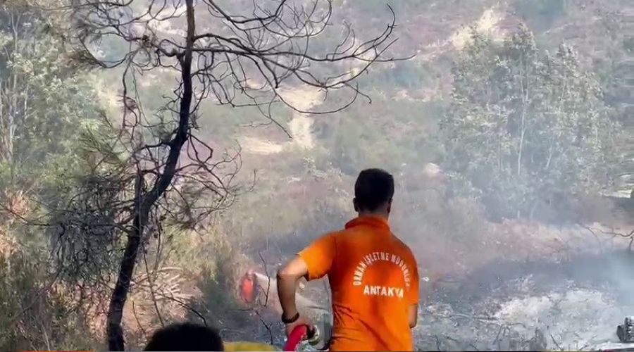 Suriye s�n�r�nda orman yang�n�