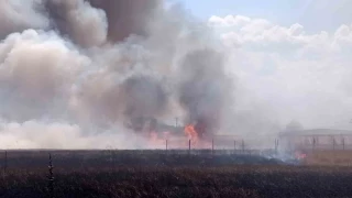 Tekirda�'da tar�m arazisinde iki noktada yang�n