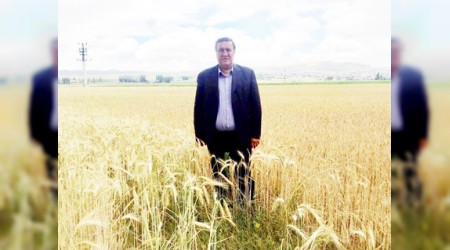 Tevikler doru adreslere gitmiyor