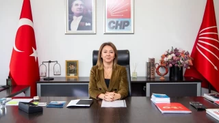 'Tüm seçmenleri seçmen listelerini kontrol etmeye çağırıyoruz'