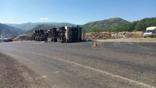 Tunceli'de, hayvan yüklü tır devrildi: 3 yaralı