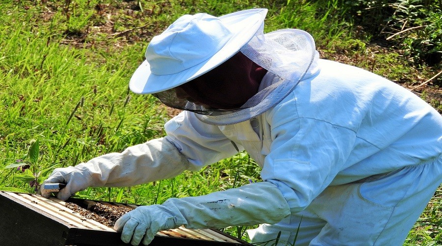 Uzmanndan Propolis tavsiyesi