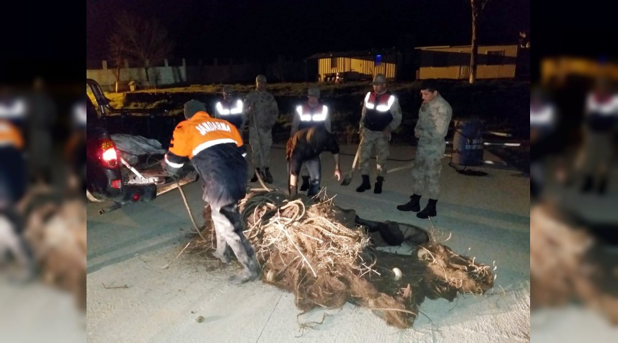 500 kilo �l� inci kefali ele ge�irildi   