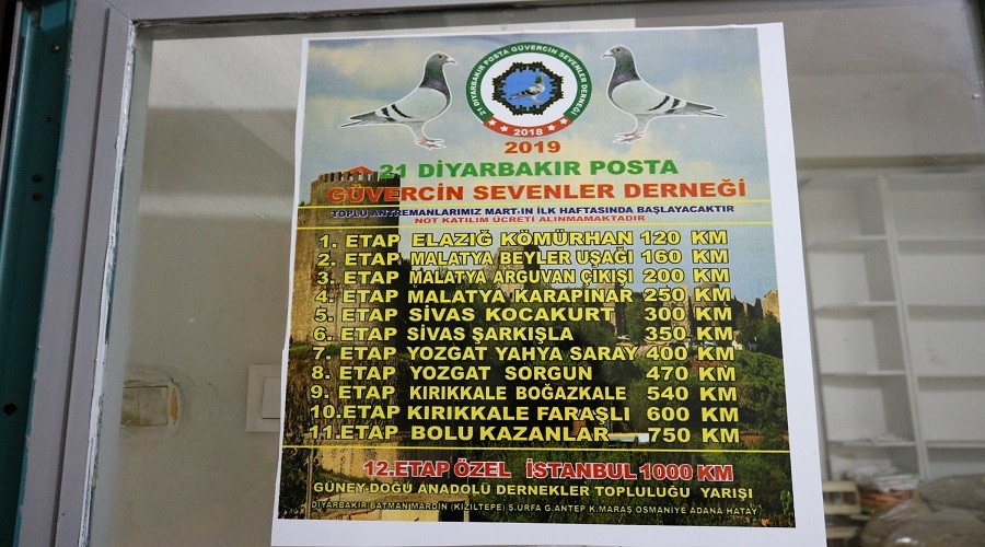 750 bin lira değerindeki 120 kuşun yarışı