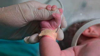 Adli T�p Kurumu: 'Bebekler kurtar�labilirdi'