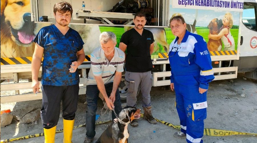 AFET b�lgesi hayvanlar� unutulmad�