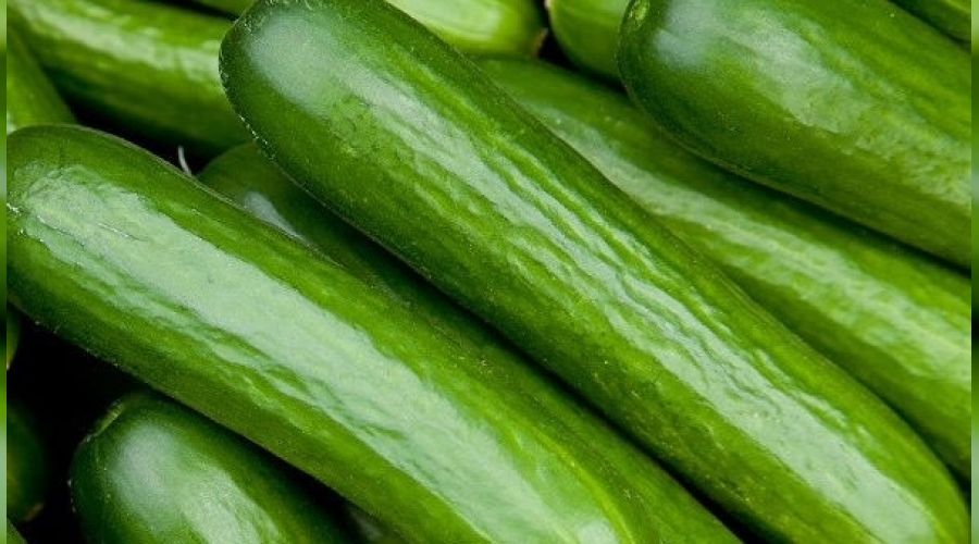 Aralık'ta zam şampiyonu salatalık