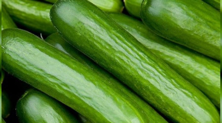 Aralık'ta zam şampiyonu salatalık