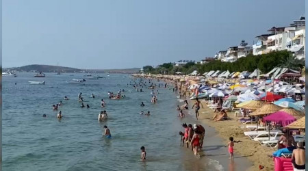 Avşa Adası'na yoğun ilgi