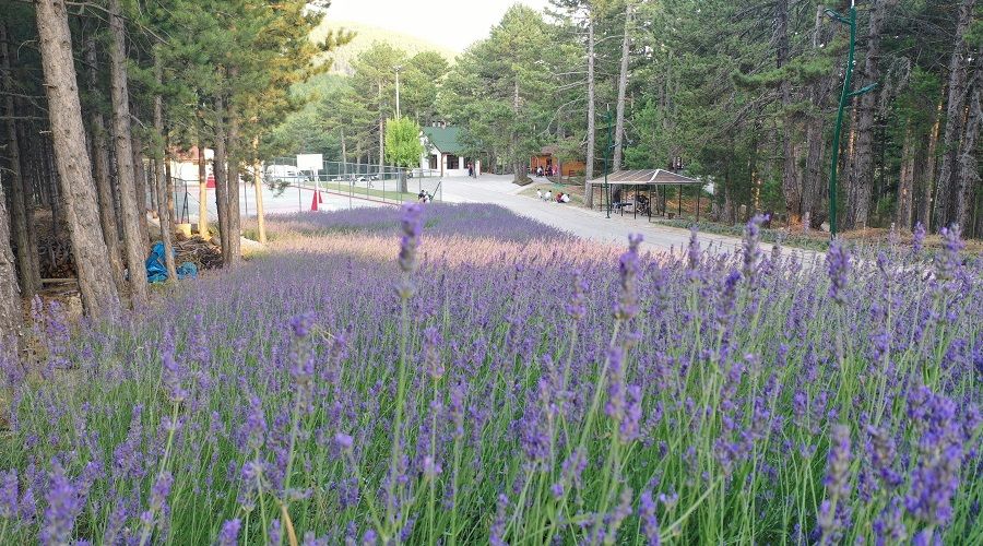 Ayd�n'�n Uluda�� d�rt mevsim huzur veriyor