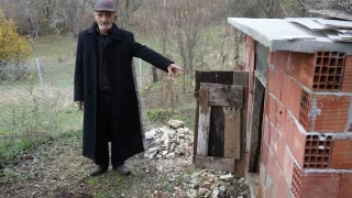 Ay, girdii kmeste tavuklar telef etti