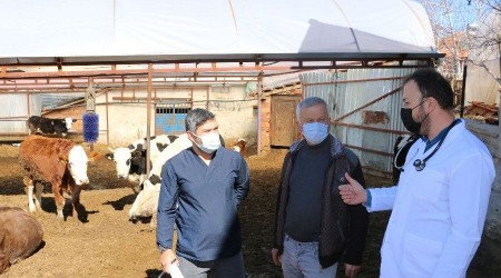 Besicilere destek için saha calışması