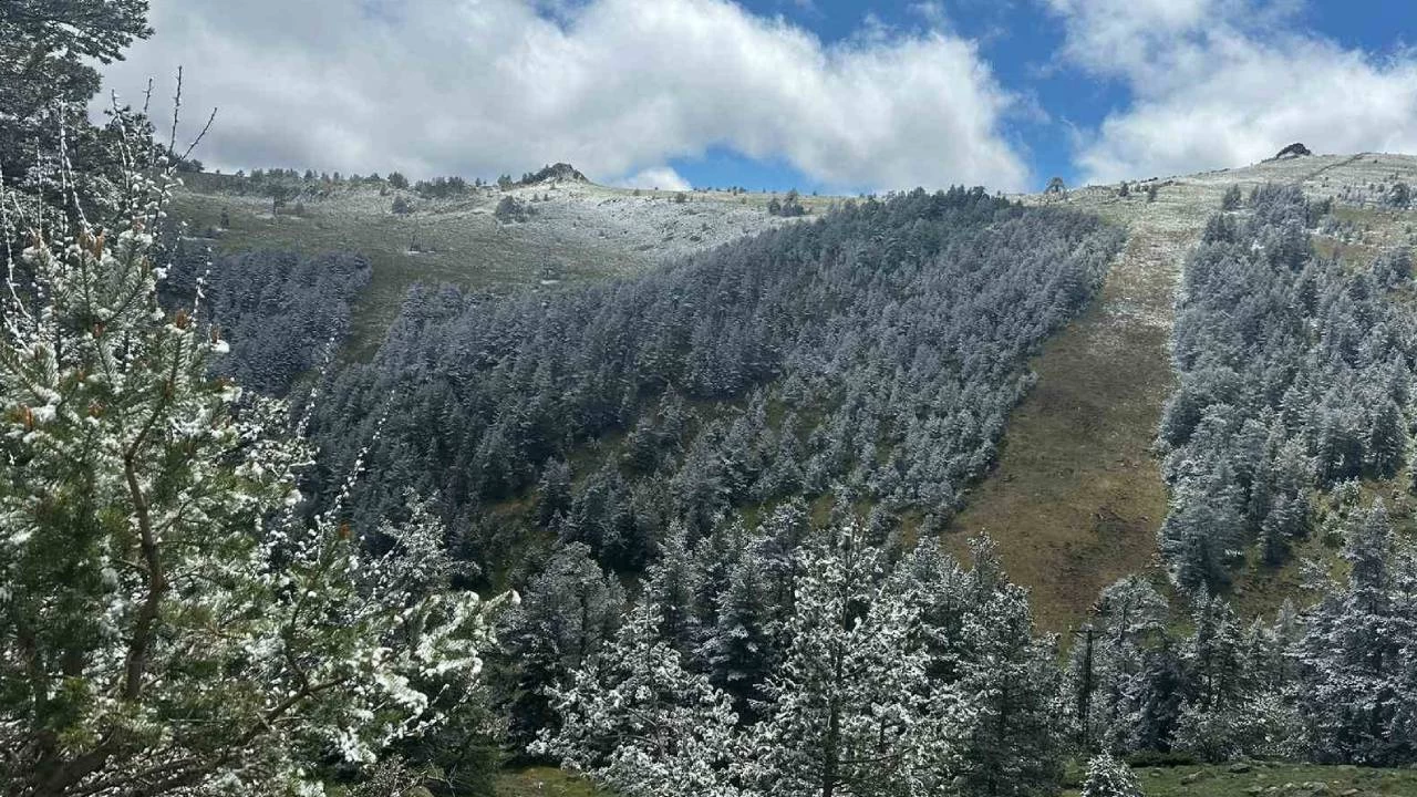 Bolu'da mays ortasnda kar yad: Normal deil