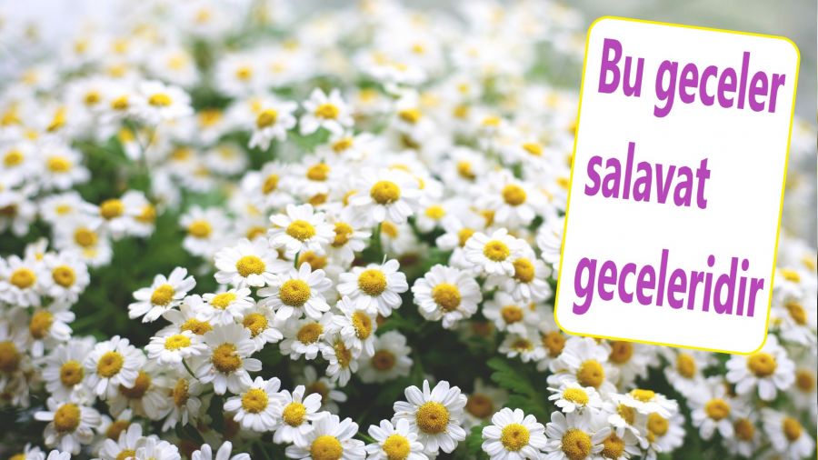 Bu geceler salavat geceleridir