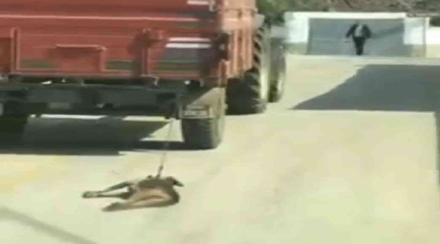 Bu vicdansızlığı yapan kişi gözaltında