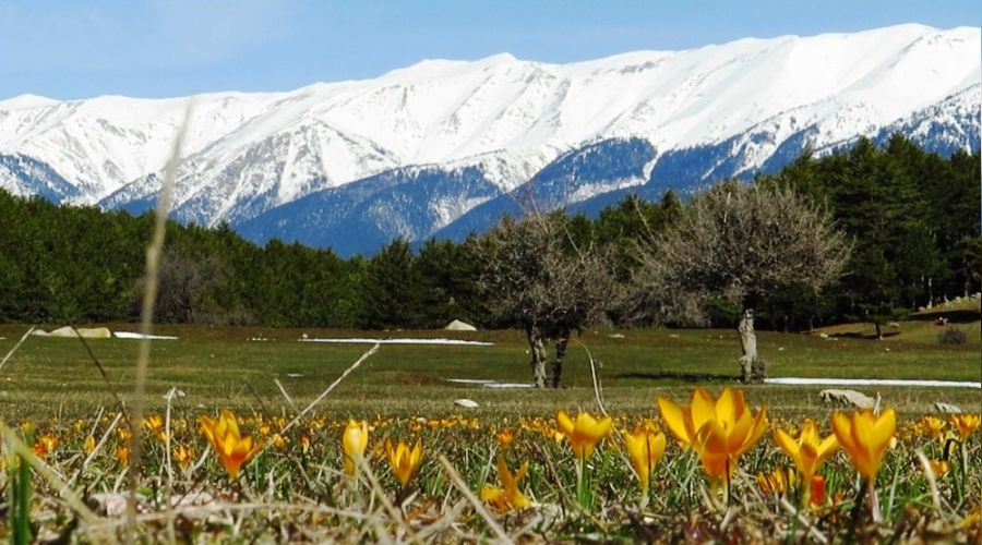 Bursa'ya yamur, Uluda'a kar geliyor