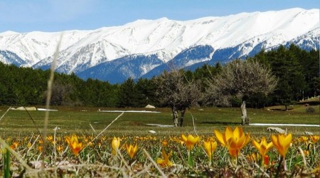 Bursa'ya yamur, Uluda'a kar geliyor