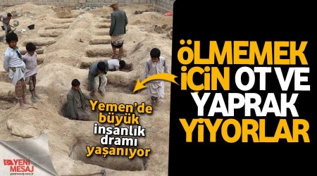 Byk katliam... Yemen'de insanlar ot ve yaprak yiyor