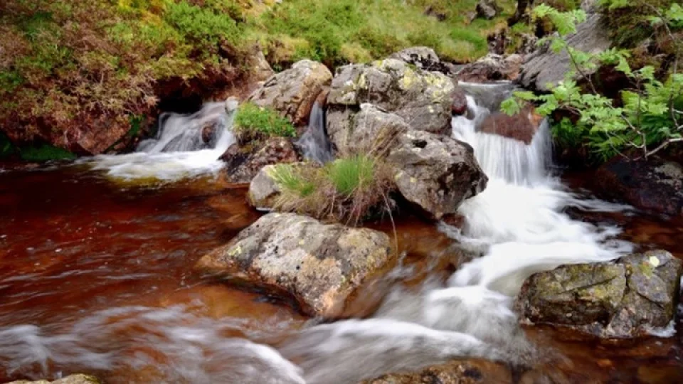 �aldere �elalesi: G�r�lt�den uzak, do�ayla ba� ba�a