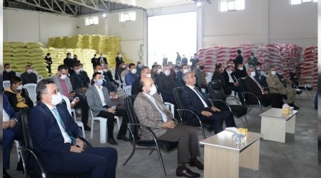Çiftçilere 65 ton yem bitkisi tohumu