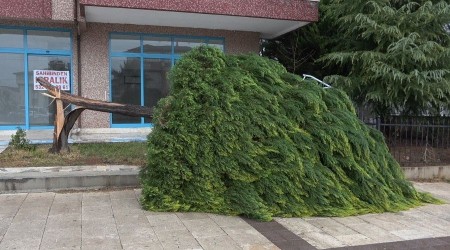 Denizli ve 4 il için fırtına uyarısı