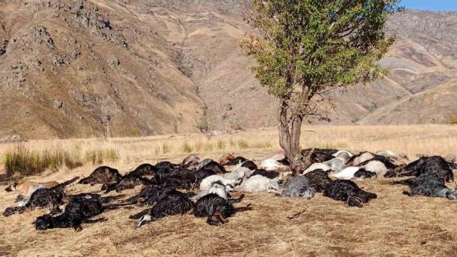 Derecik'te y�ld�r�m d��t�, 62 hayvan telef oldu