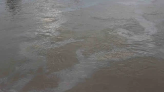 Dicle Nehrine karıştı