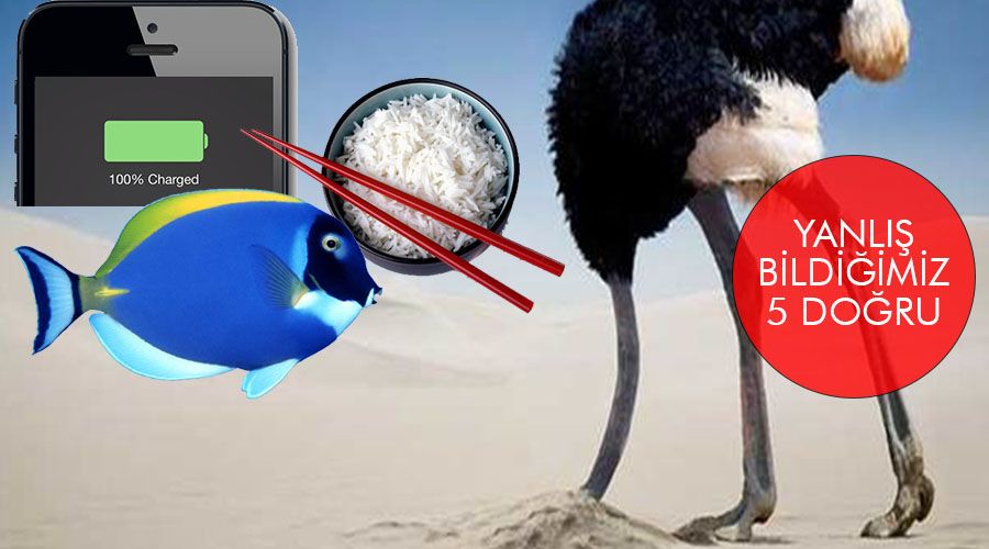 Doğru bildiğimiz yanlışlara şaşıracaksınız