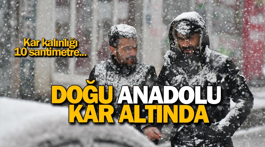 Doğu Anadolu kar altında