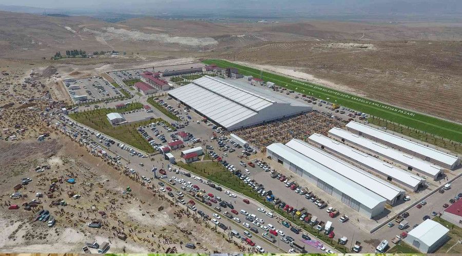 Doğu'nun incisi hayvan borsası sektörde rol modeli oldu