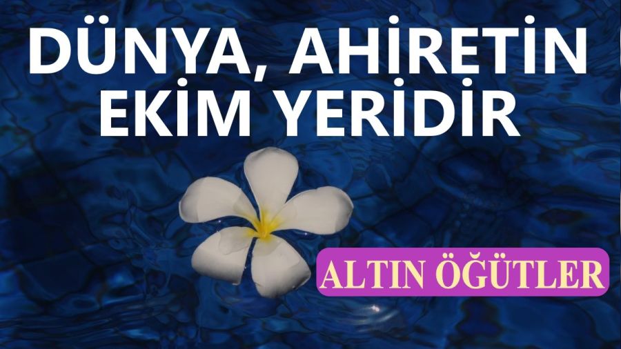 Dünya, ahiretin ekim yeridir