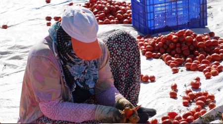 Ekmek parası için zorlu mesai