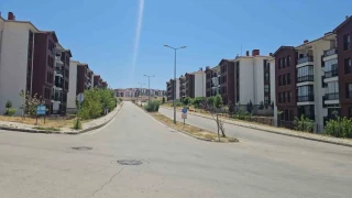 Elazığ'da kavurucu sıcaklar yolları boşalttı