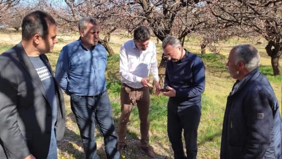 Elazığ'da zirai donun hasarı büyük