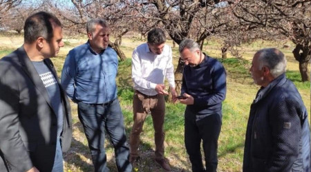 Elazığ'da zirai donun hasarı büyük