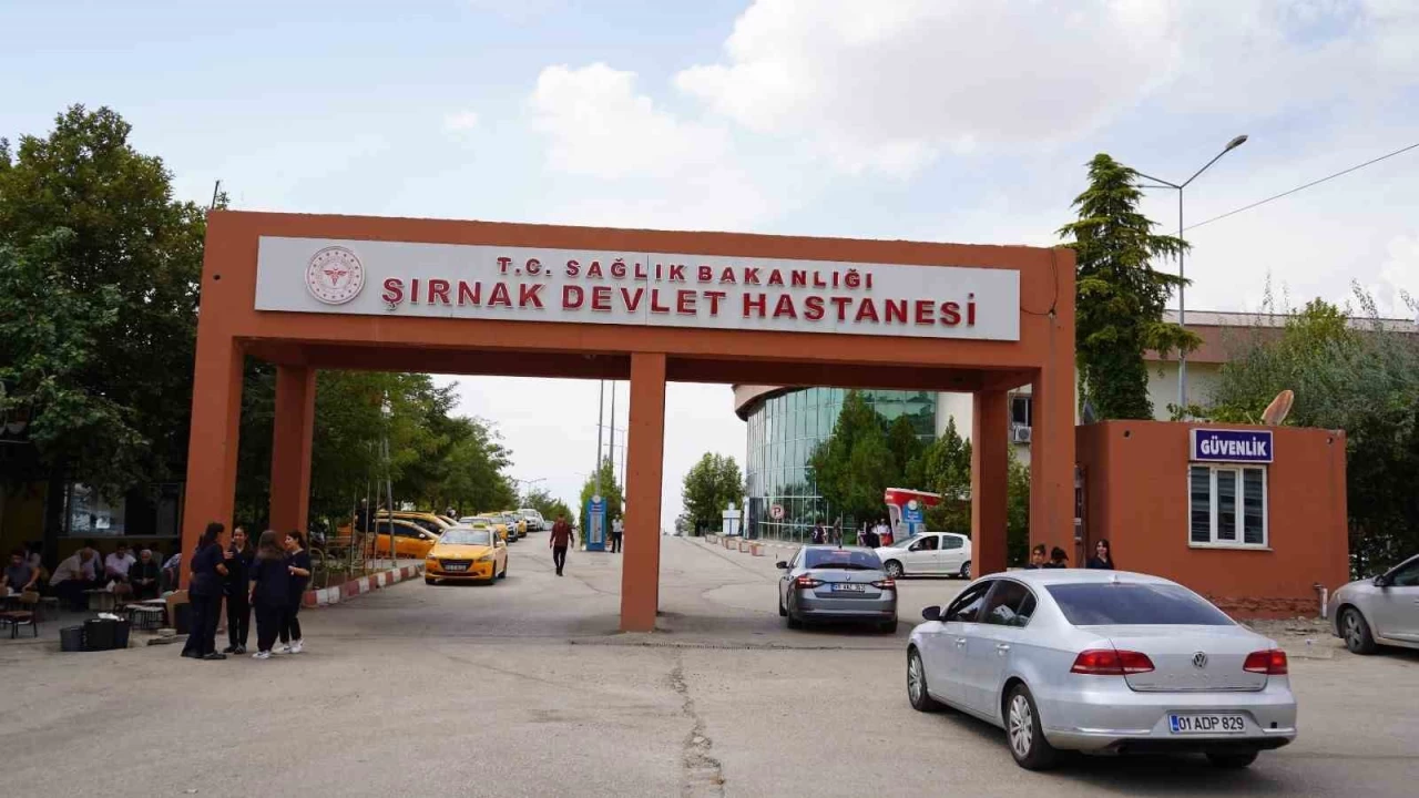 Erkeklere g�re kad�nlar daha �ok Alzheimer hastal���na yakalan�yor