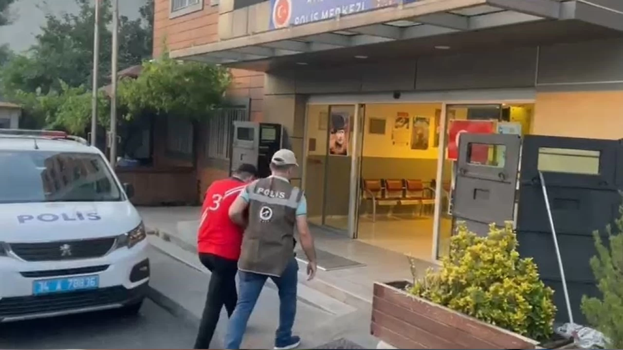 Esenler'de kediyi paralayan pitbullun sahibi gzaltna alnd