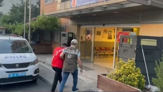 Esenler'de kediyi paralayan pitbullun sahibi gzaltna alnd